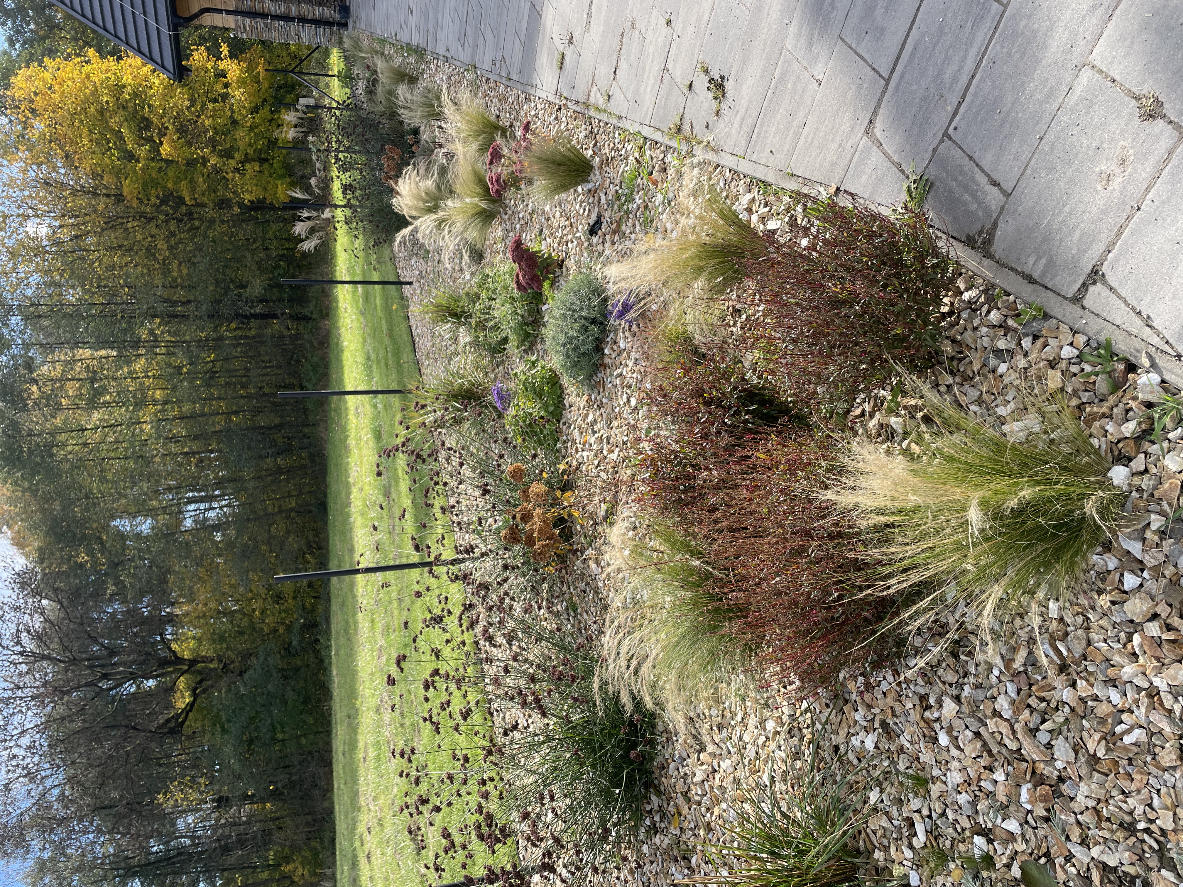 Rodinná zahrada s jezírkem